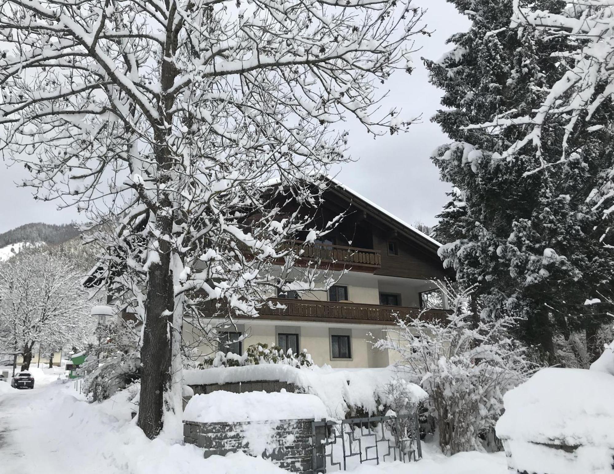 Amadee Appartements Бад Клайнкирххайм Екстериор снимка